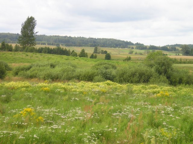 landschaft4.jpg